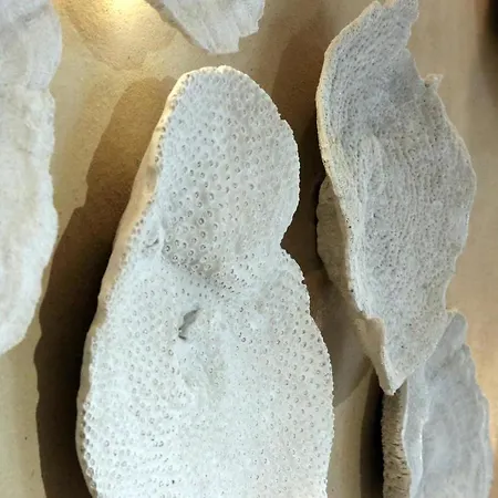 Appartamento Narcissus Luxury