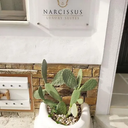 Narcissus Luxury Apartment *