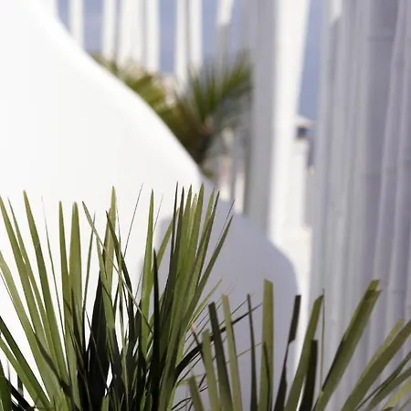 Apartment Narcissus Luxury Naxos City