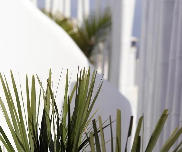 Apartamento Narcissus Luxury Naxos City